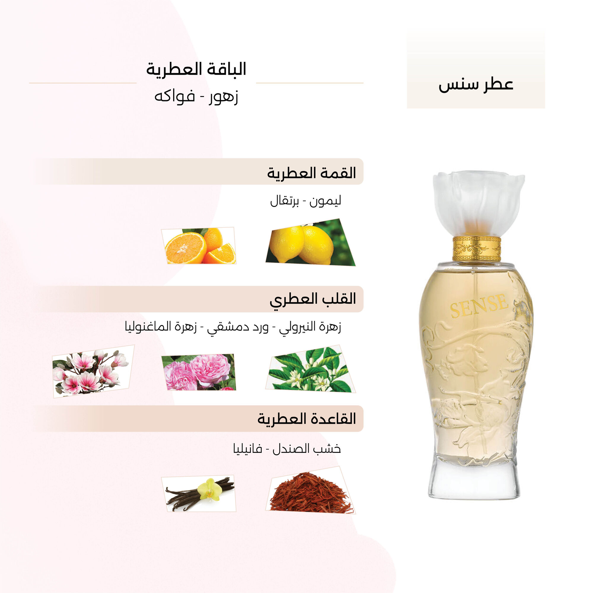Sense Perfume for women by Cage