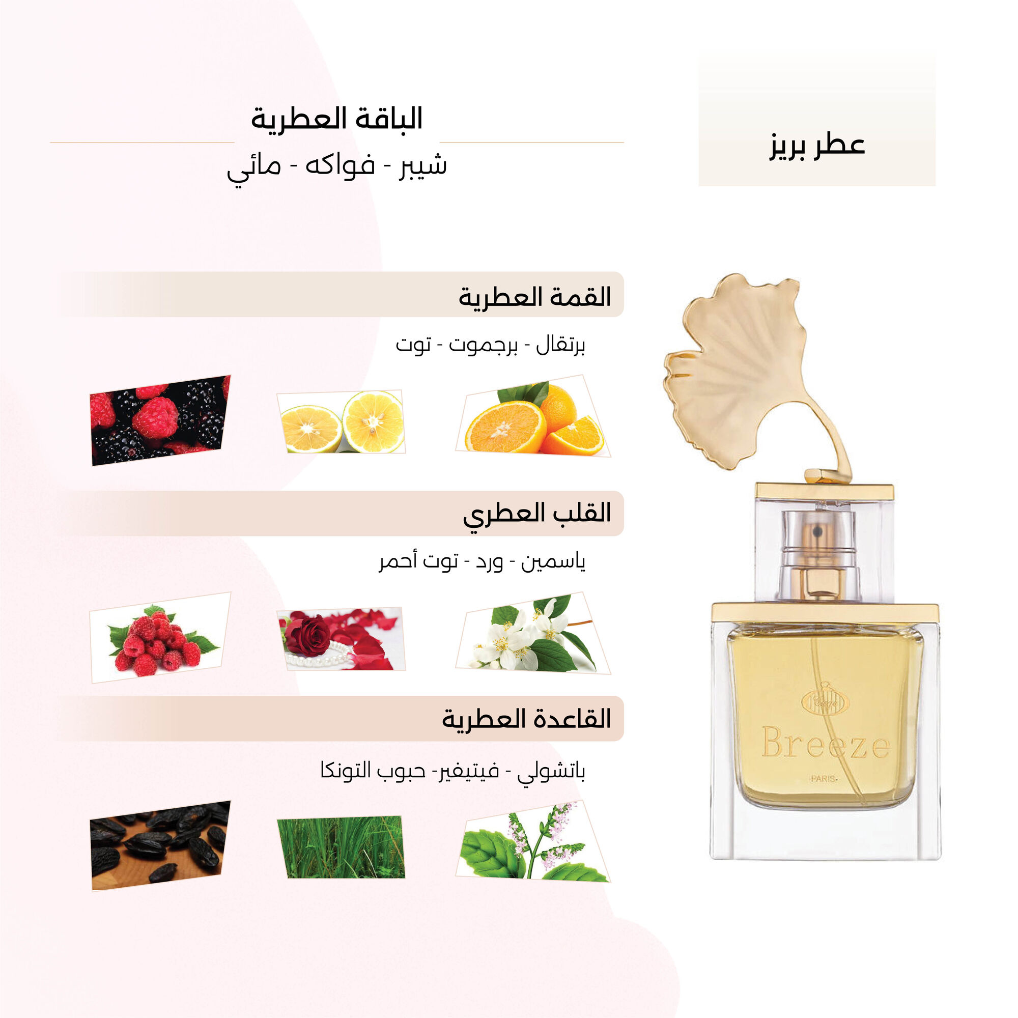 Breeze Eau de Parfum 100 ml