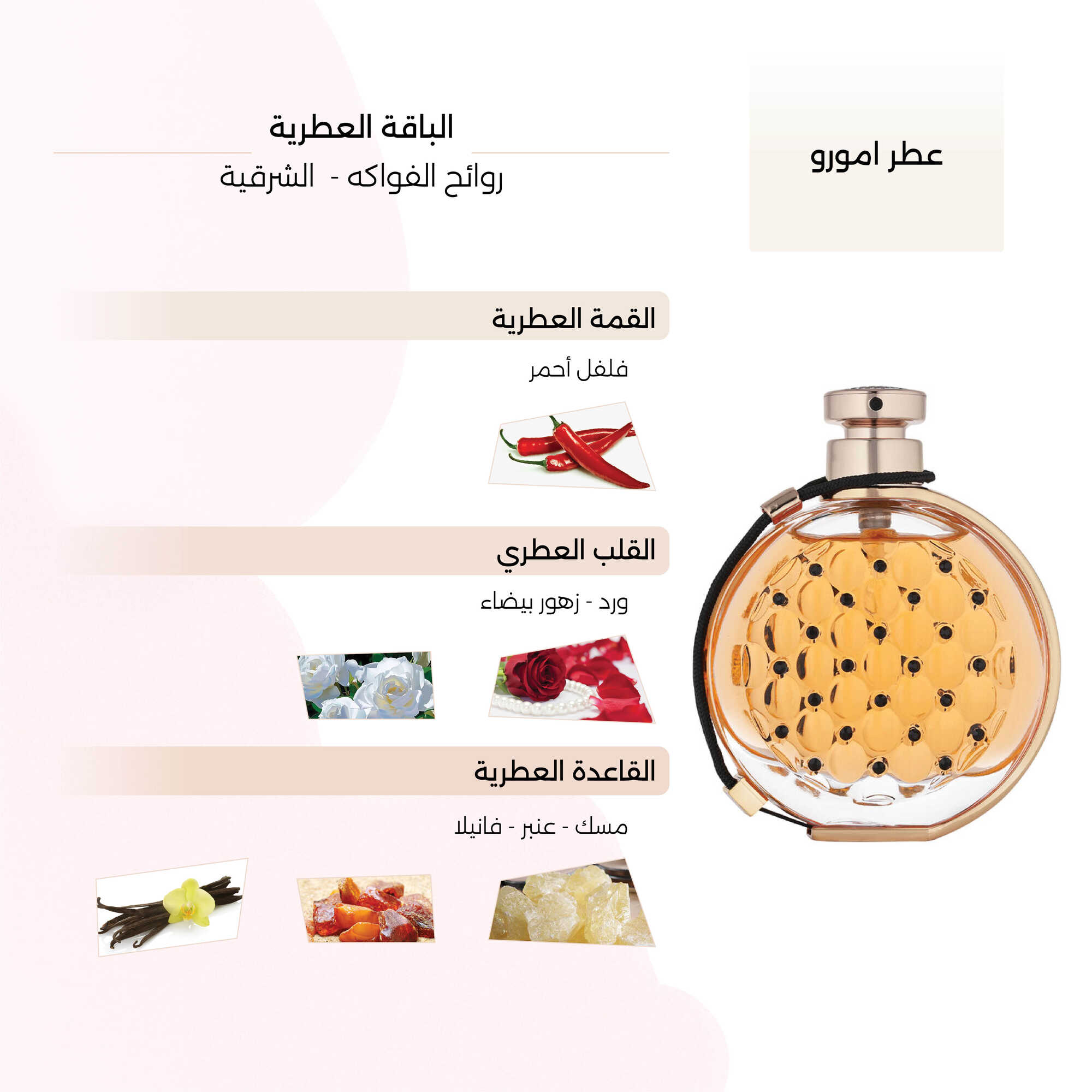 Amoro Perfume 80ml