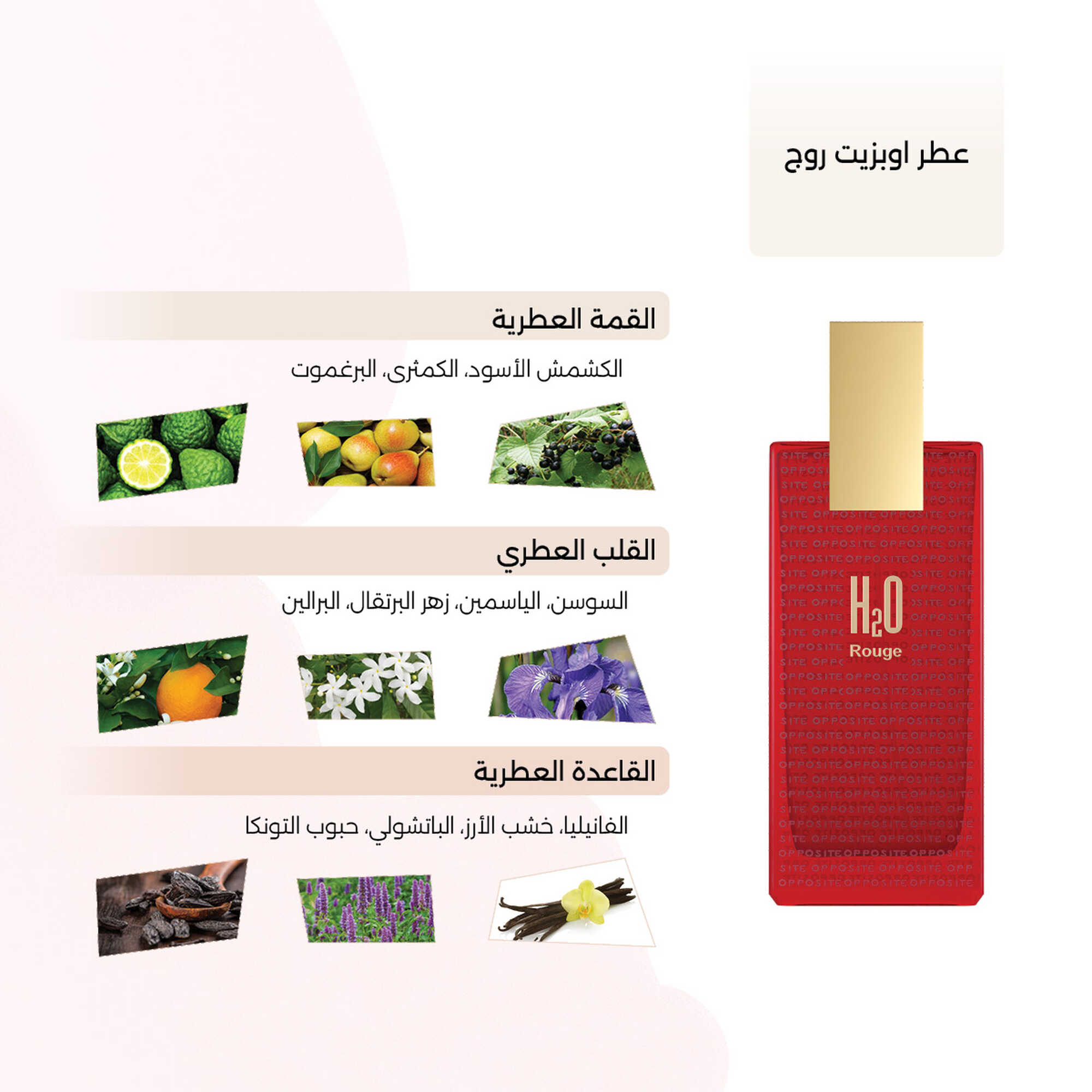 Opposite Rouge 100ml
