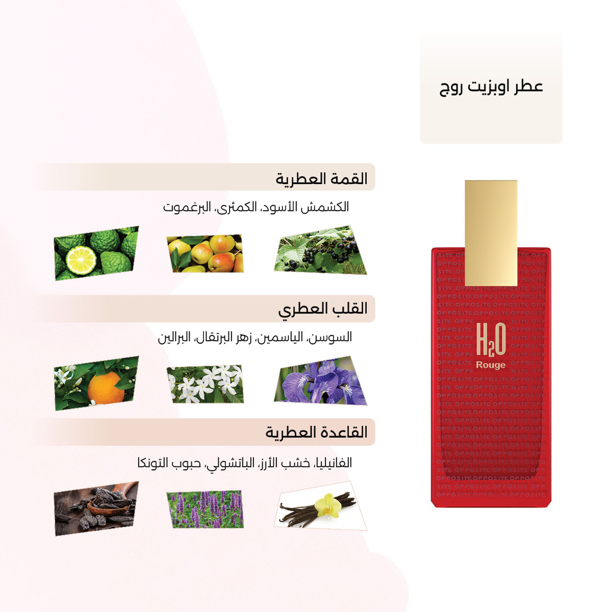 Opposite Rouge 100ml