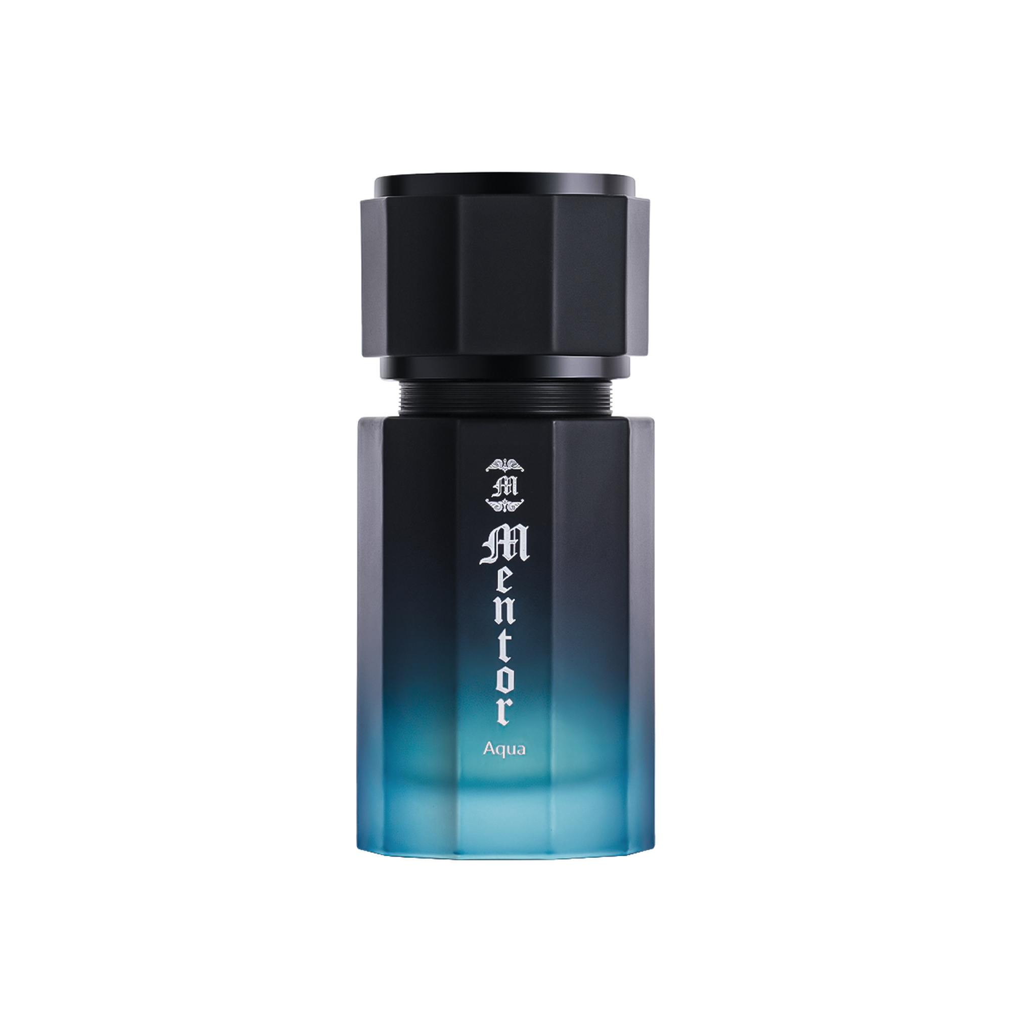 Mentor Aqua men 100 ml