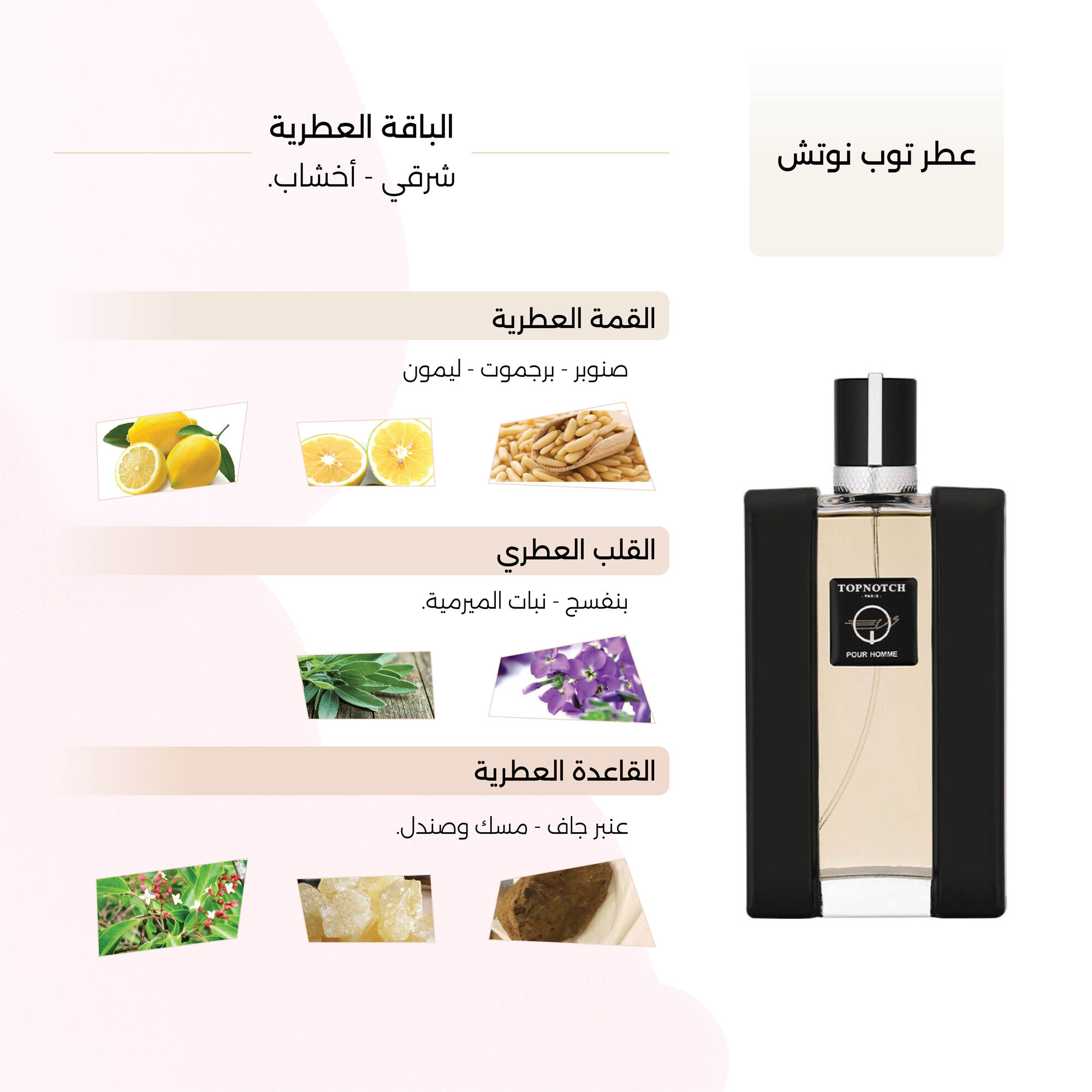 Top Notch Perfume by vs 120ml