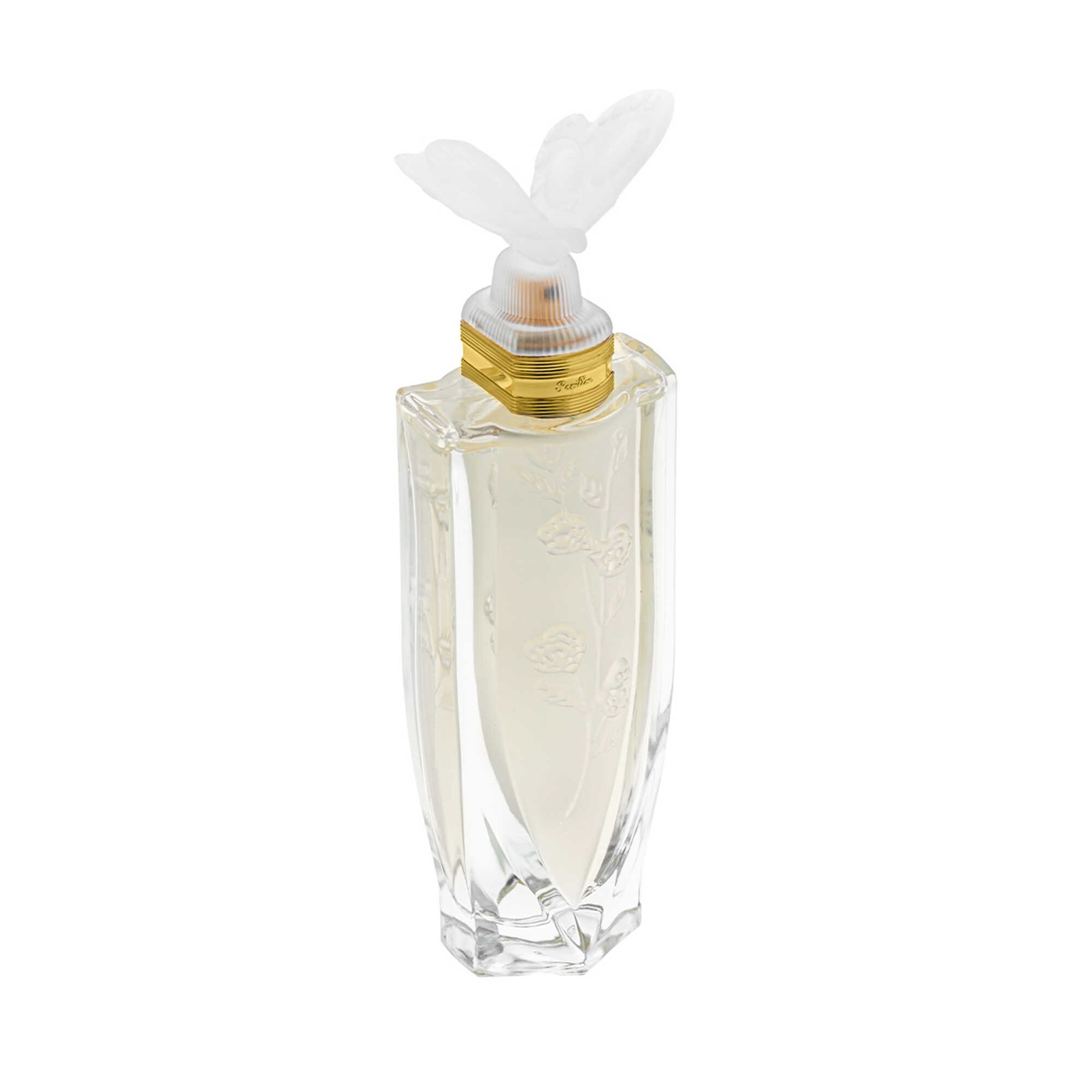 Papillon: 100 ml