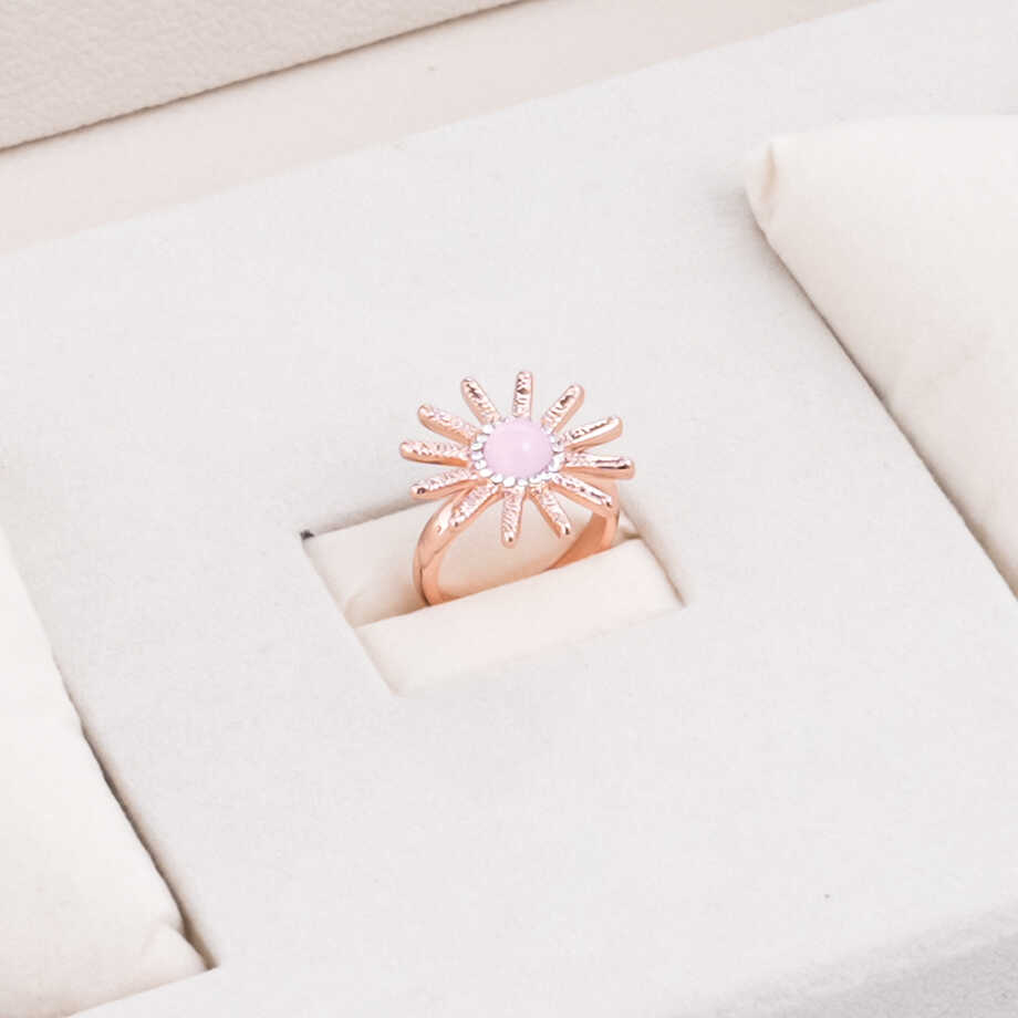 Papillon Accessories Gift Set Rose Gold 6 Pieces