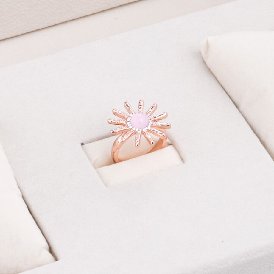 Papillon Accessories Gift Set Rose Gold 6 Pieces