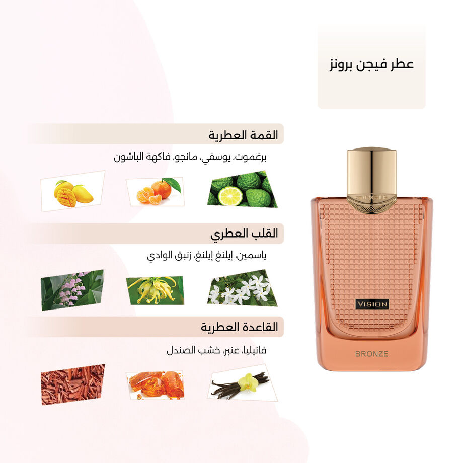 فيجن برونز رجالى 100 مل