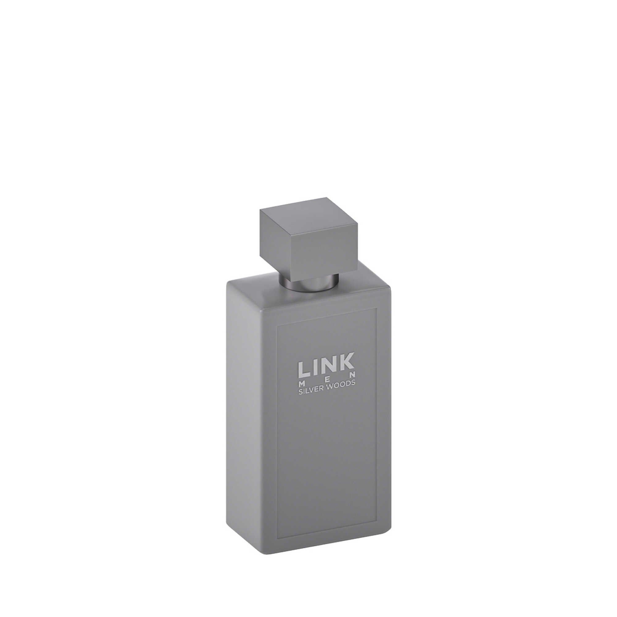 Silver Woods Eau de Parfum 100 ml
