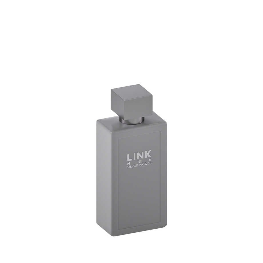 Silver Woods Eau de Parfum 100 ml