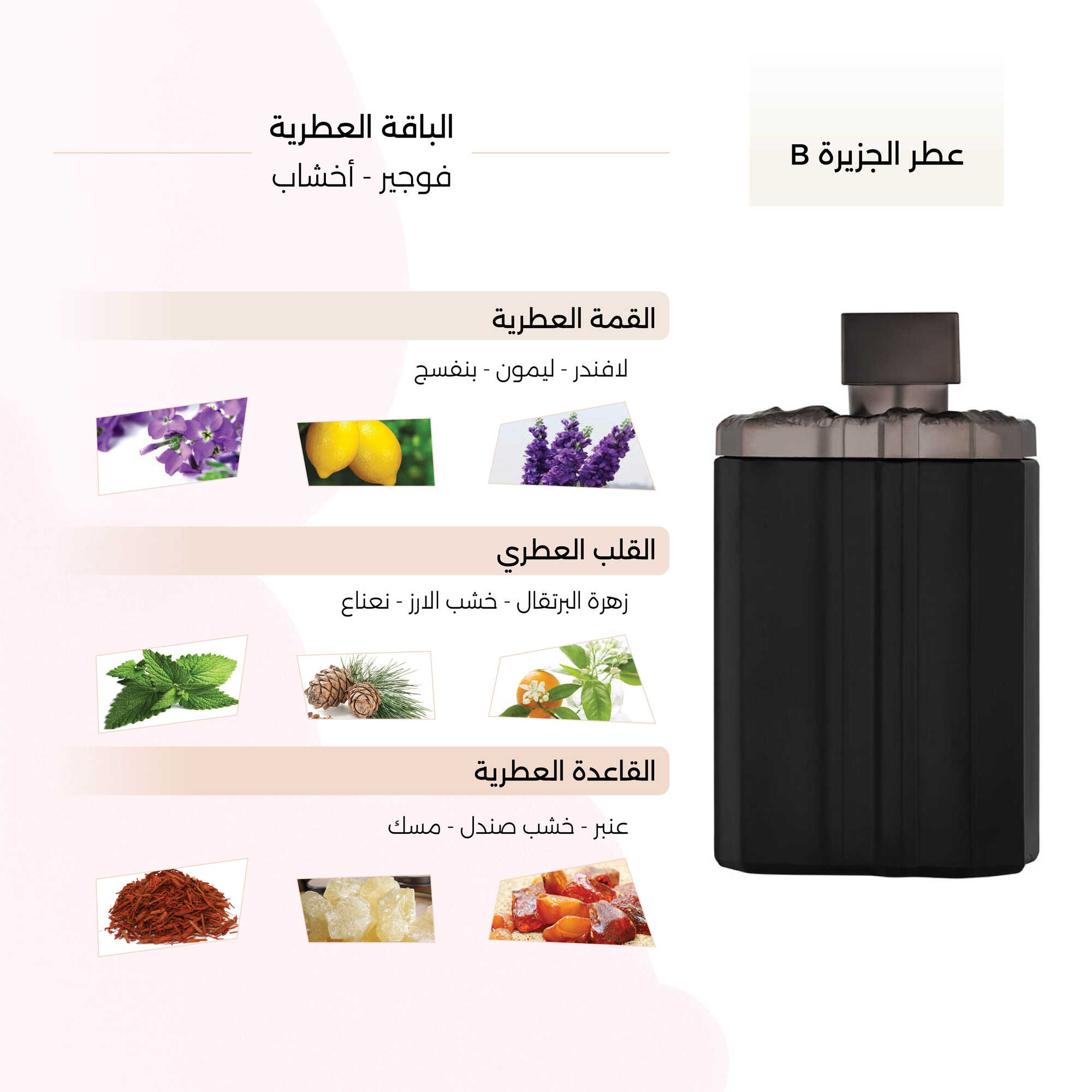Al Gazeera B Eau de Parfum 150 ml