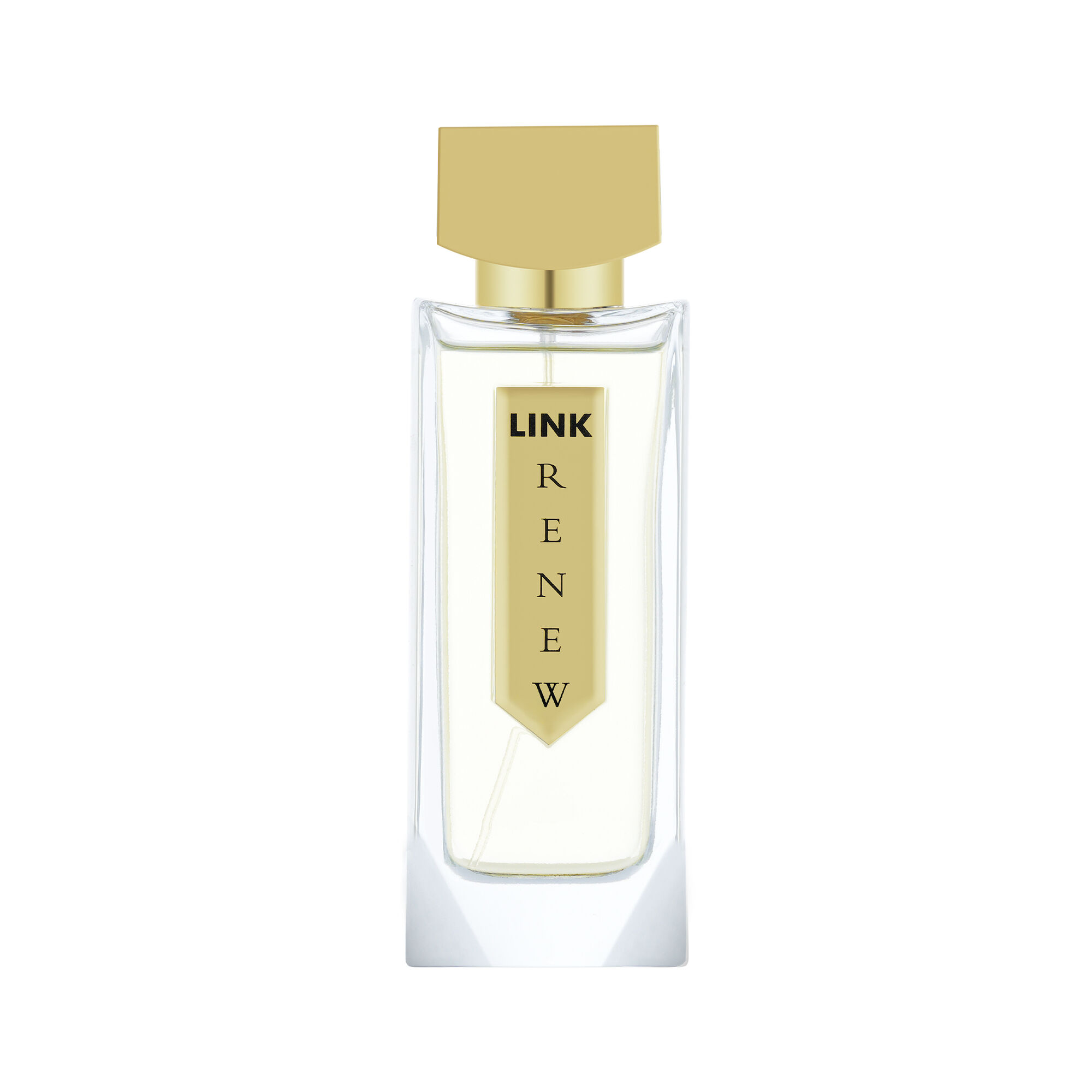 renew 100 ml