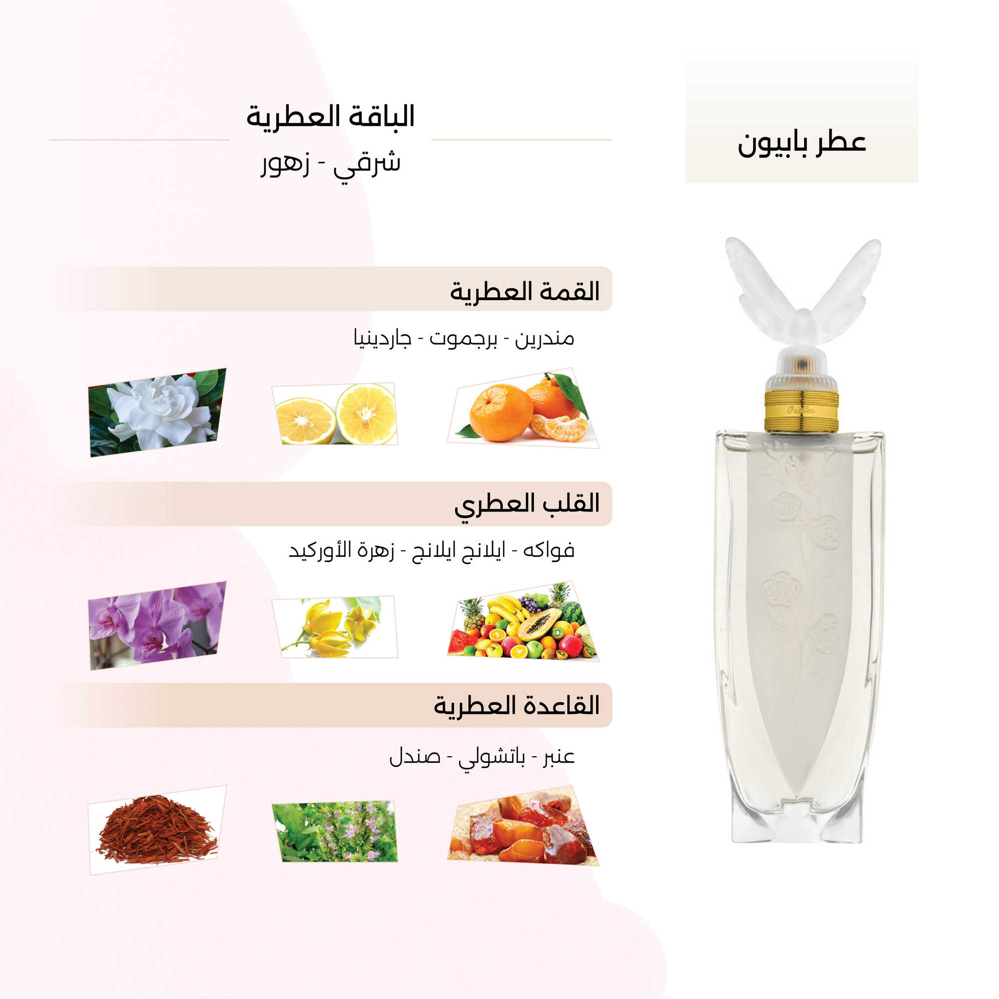 Papillon: 100 ml