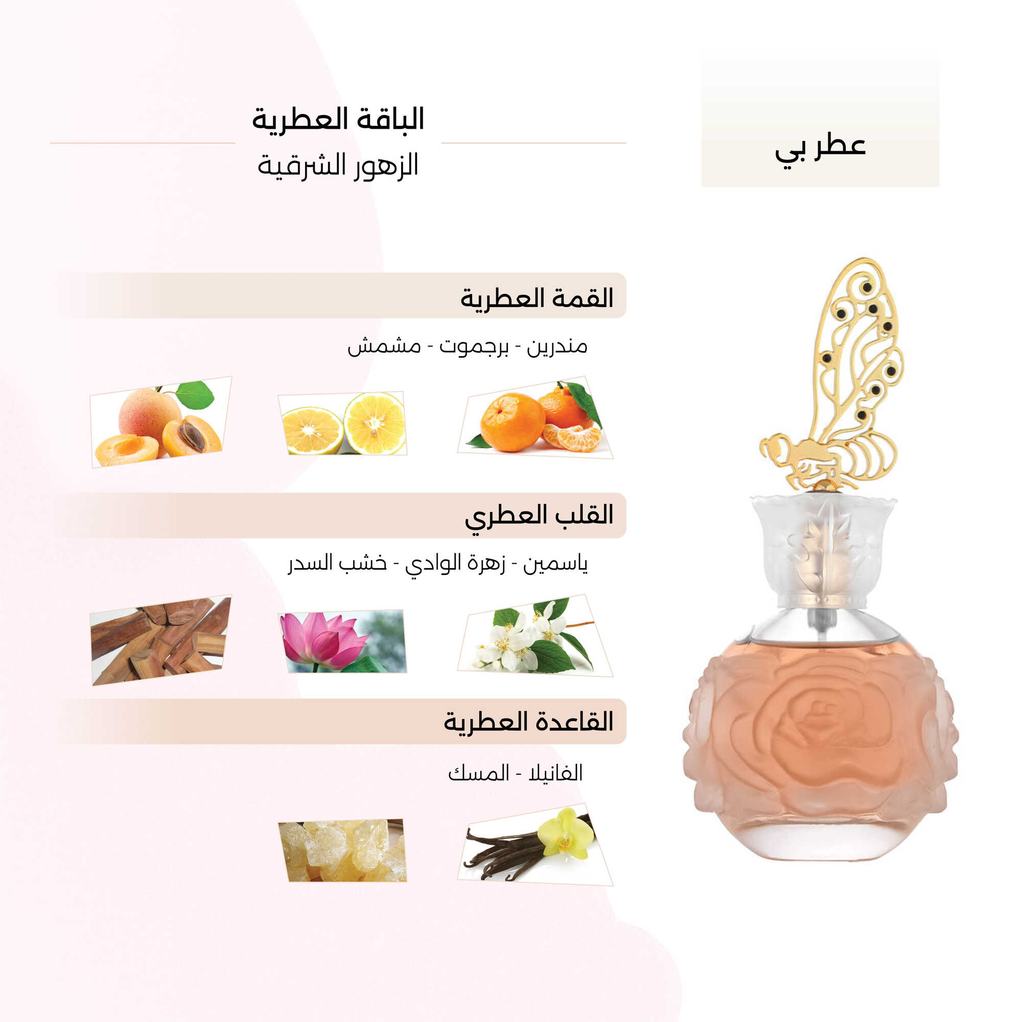 Bee Perfume by Cage 100ml