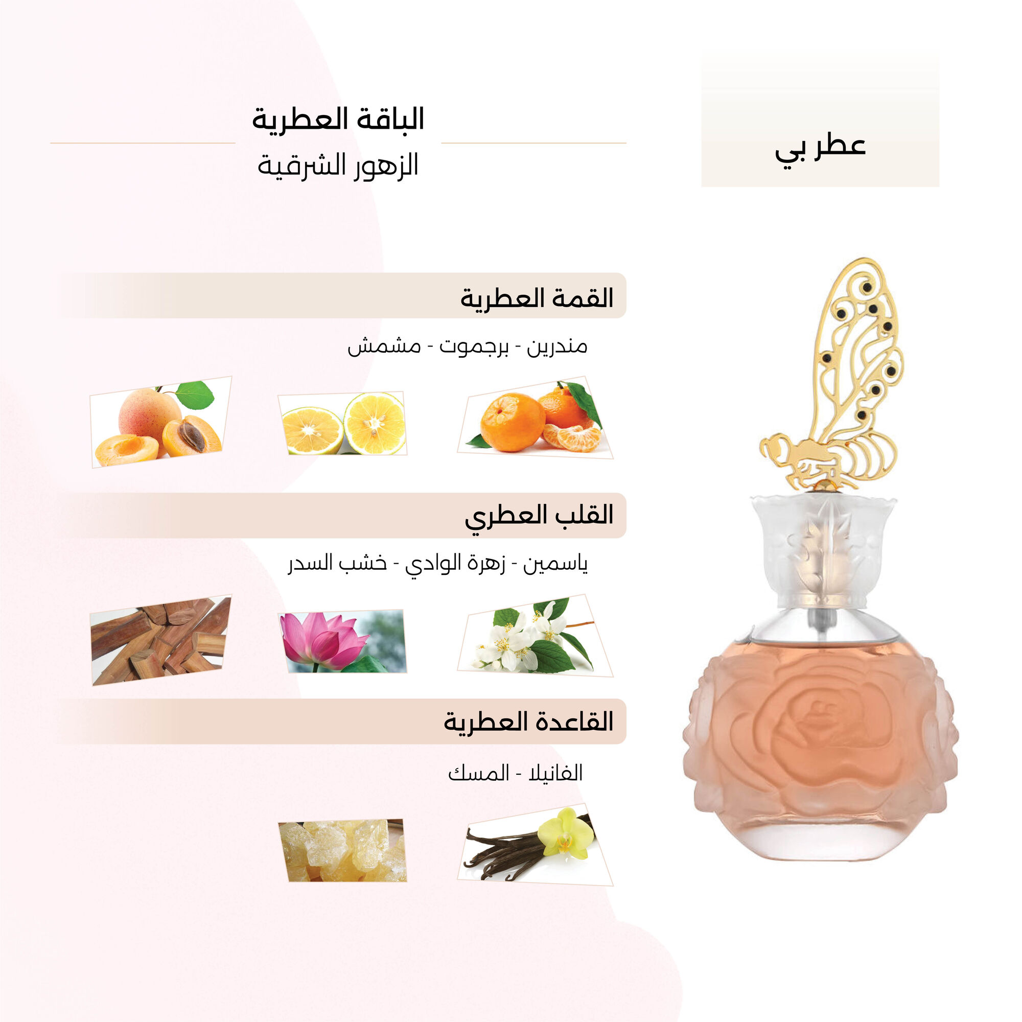 Bee Perfume by Cage 100ml